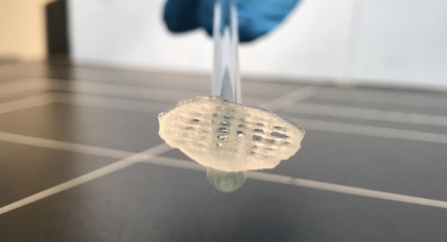 Generación de mallas en 3D que simulen prótesis utilizando biomateriales como PCL con gentamicina o alginato, con uso de bioimpresoras 3D de Regemat.