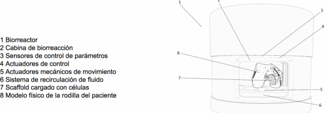Biorreactor Bmap Knee de Regemat 3D
