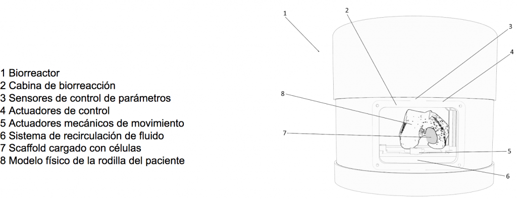 Biorreactor Bmap Knee de Regemat 3D