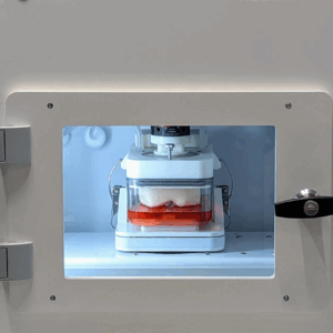 BMAP Knee Bioreactor