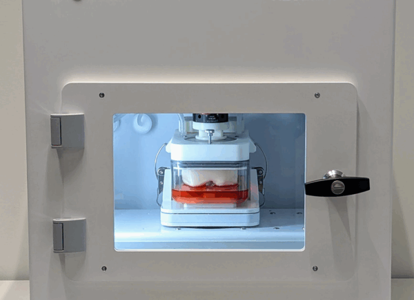 BMAP Knee Bioreactor